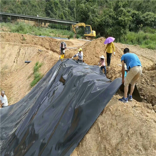 水庫加固如何選擇防滲土工膜